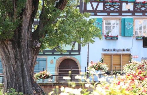 Charmant Appart avec Garage et Terrasse au Coeur de Colmar, près de la Route des Vins d'Alsace - FR-1-722-6 - Foto 14