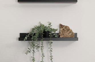 Luke Stays - North View Bearpark - Photo 9