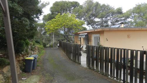 Aqui siem ben - Photo 5, Garden, Garden view