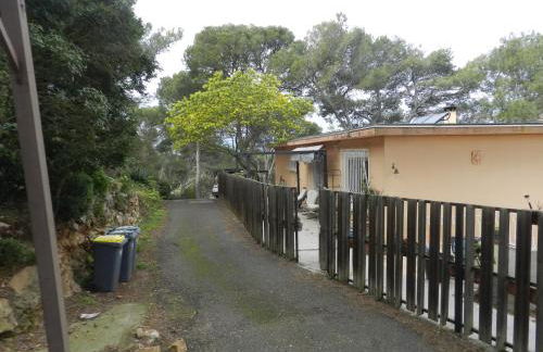 Aqui siem ben - Photo 5