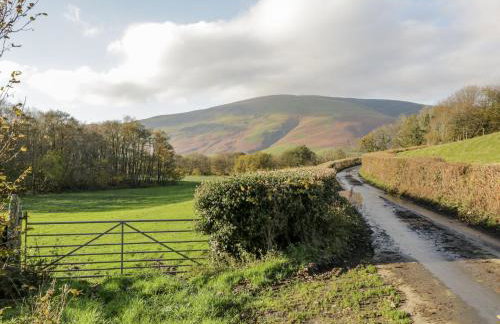 Beech Brae - Foto 57