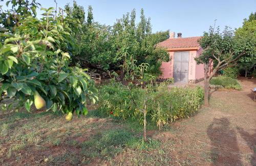 Villa Anna - Foto 25