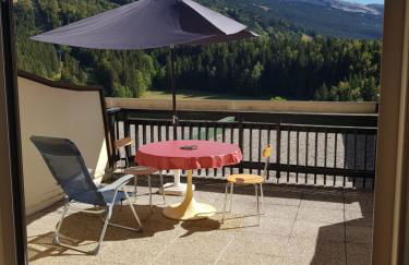 villard de lans les glovettes - Foto 2