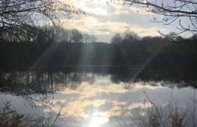 The Summerhouse, countryside retreat with private hot tub - Foto 45