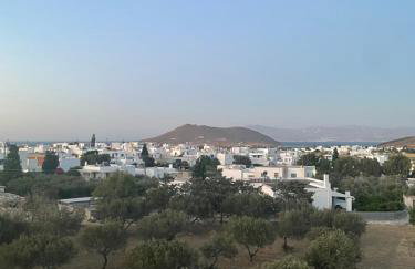 Casa di Ricci Paros - Photo 32