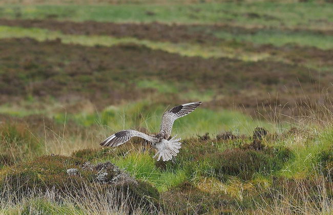 Cosy Modern Nordic Lodge w/ Loch View & Log Burner - Photo 30