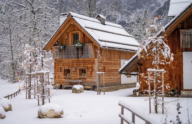 ALPIK Chalets - Bohinj - Foto 43