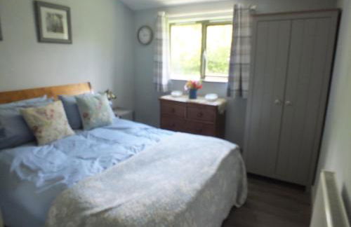 The Potting Shed And The Garden Shed Self Catering - Photo 41