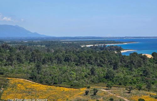 Gîte L'Appart de Case Vanille - Foto 53