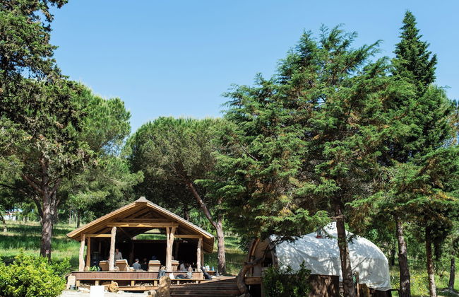 DOMA Portugal - Foto 54