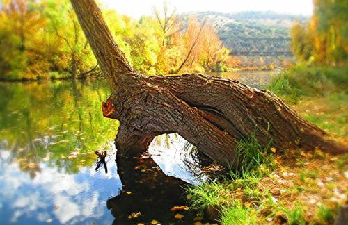 El Balcón de San Juan - Foto 17