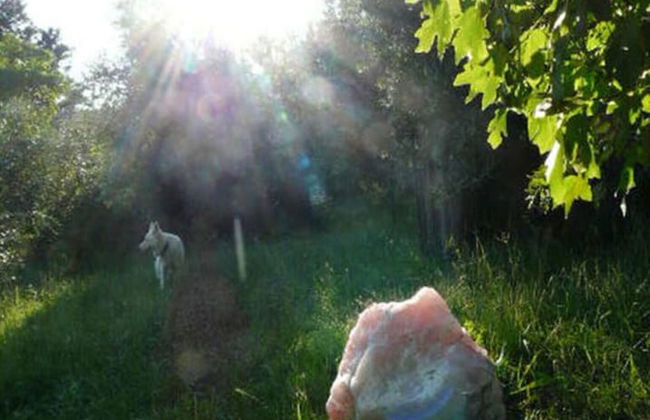 Casa Juliana Comfortable Holiday Residence - Photo 13