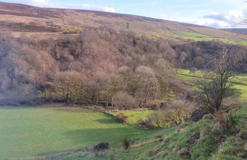 Ardagh Cottage Secluded in Glenshesk near Ballycastle - Foto 43