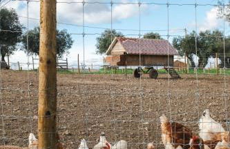 Viva! Farmhouse - Foto 49