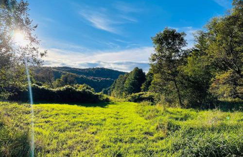 Maple Sugar Shack Tiny House with hot tub & river by Stowe - Foto 20