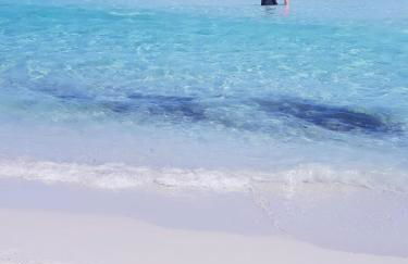 Villa Panamàr - Foto 55