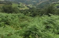 Vivienda Vacacional Ángel Inguanzo - Foto 60