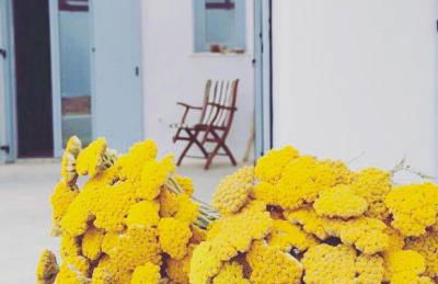 VILLA THEIA - SELENE , appartement de charme pour 4 à 6 personnes prés de la plage et du village de Koufonissi - Foto 30