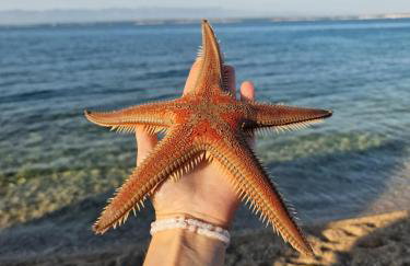 Apartments Elena Green Island Escape - Photo 36