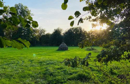 Tiny House im Spreewald - Lübbenau - Foto 20