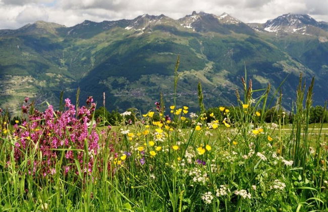 Apartment in Veysonnaz Near Ski Lift - Foto 25