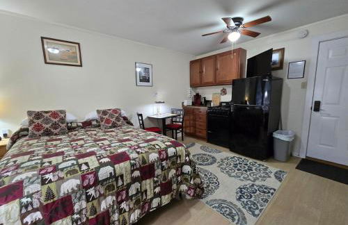 Saranac Lake Studio Apartment - Foto 5