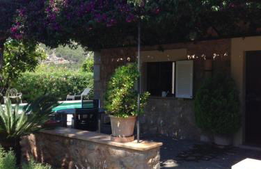 Ses llimoneres - Foto 33