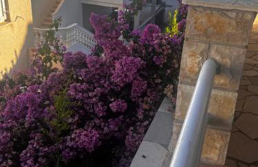 Apartments Zvijezda - Foto 75