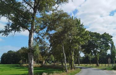 Gästehaus, Ferienwohnung, Monteurwohnung, Stedinger Landhotel - Photo 14