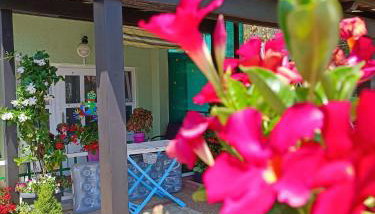 Apartmani Tognon - Foto 3