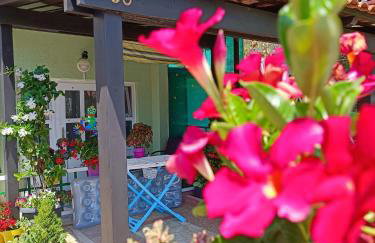 Apartmani Tognon - Foto 3