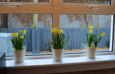 The Captains Cottage, Cushendall - Foto 15