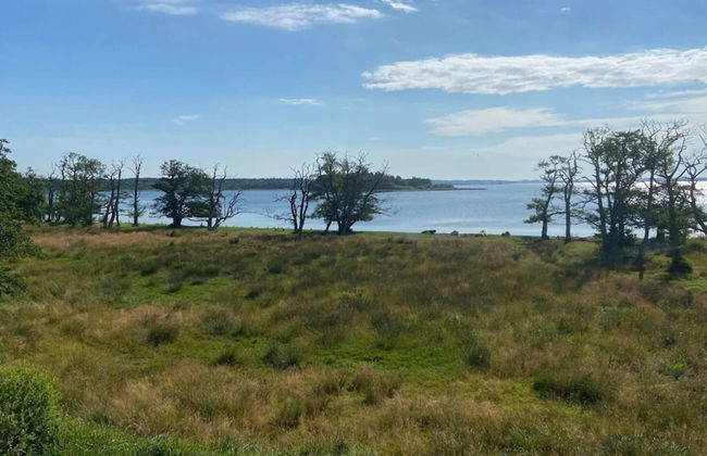 5 Person Holiday Home in Skanderborg-by Traum - Photo 35