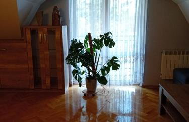 Orkana44F - Photo 11