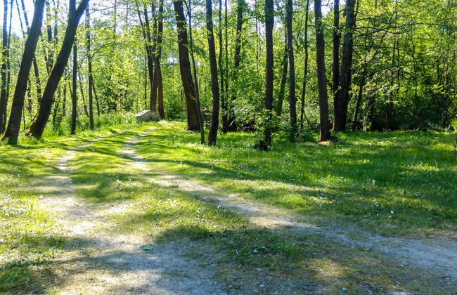 Zatylówka Dom na Wyspie - Foto 32