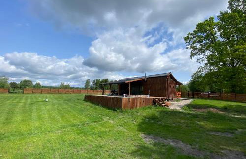 Drewniana ostoja, jacuzzi, sauna, basen - domek na wyłączność - Foto 5