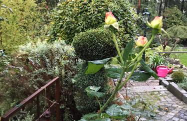 An der Heide. - Foto 18