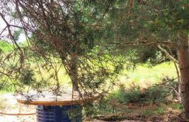 Apartament Szyszka w ogrodzie - Foto 39