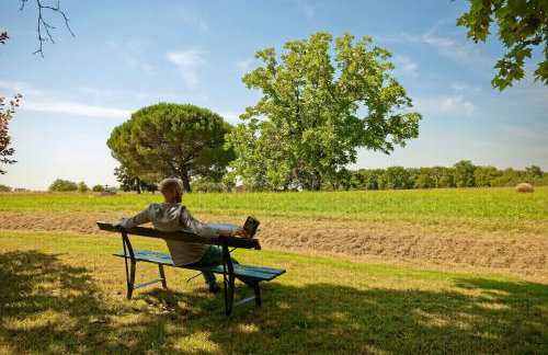 Renovated Dovecote Near The City Of Albi - Foto 9