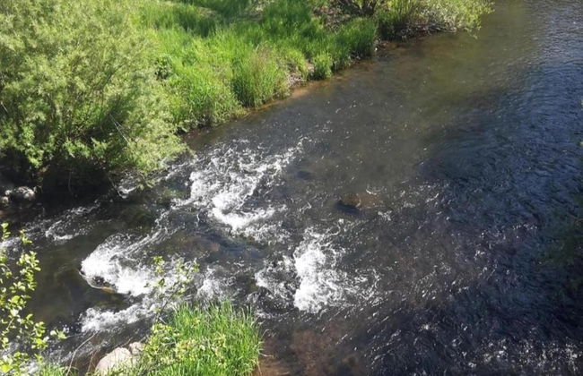 Quaint Bungalow Near Insel Poel With Garden - Foto 75