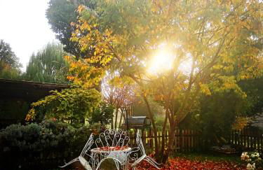 Pecore Ribelli - Photo 36