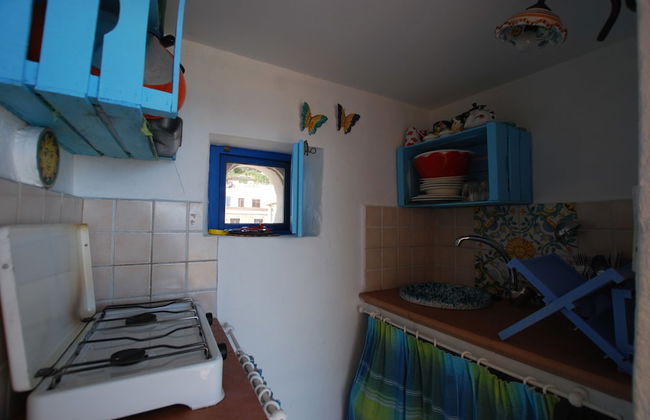 Zenzero Studio - Foto 3