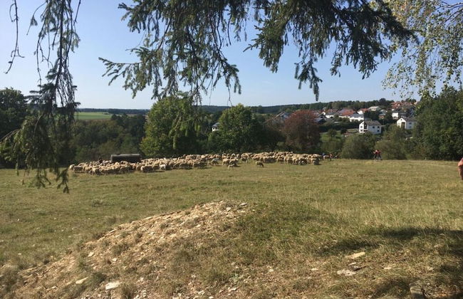 "zum Kirchenschuster" - Foto 18