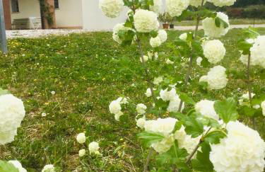 Incanto del Garda - Foto 35