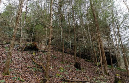 "The Perch" Elevated Woodsy Modern Stay w/ Hot Tub - Foto 23