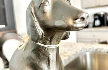 Doxie Cottage Close to WEC Springs and More - Foto 19