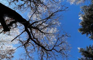 Odpoczynek Domki Pod Dębem z Opcją Jacuzzi - Foto 41