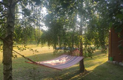 Uroczy drewniany domek w Charzykowach - Foto 29