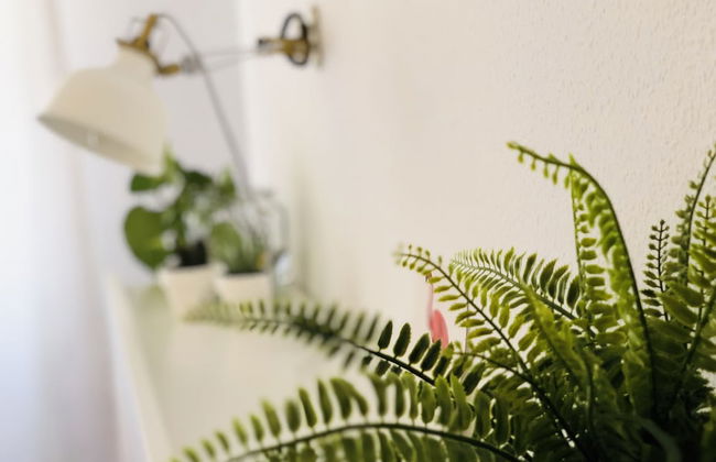 TuGuest Mulhacen Apartment - Foto 11