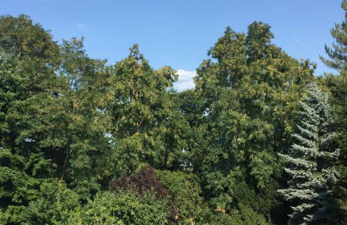 Apartment Hope Inn - Foto 4